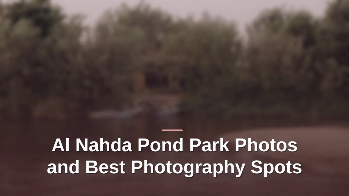 al nahda pond park photos