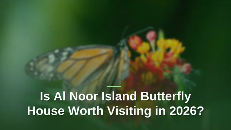 Al noor island butterfly house