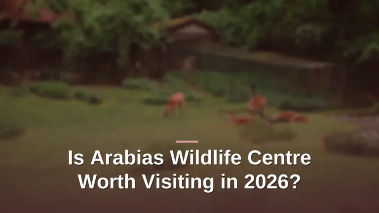 Arabias wildlife centre