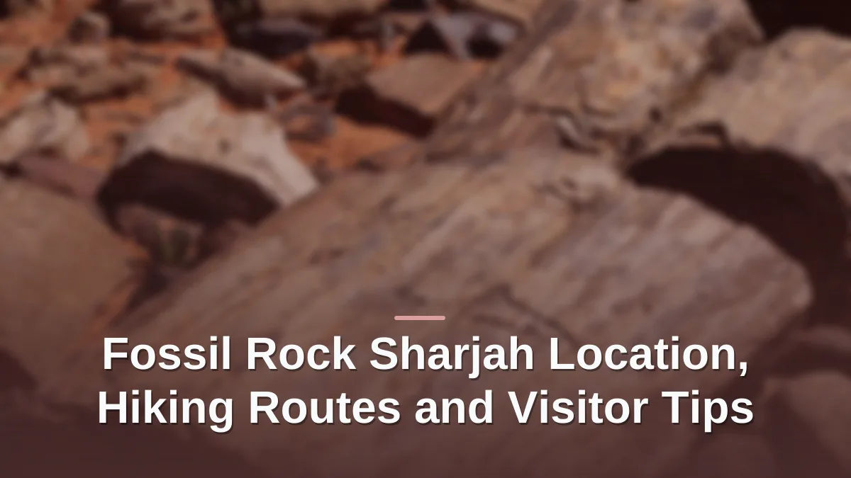 Fossil rock