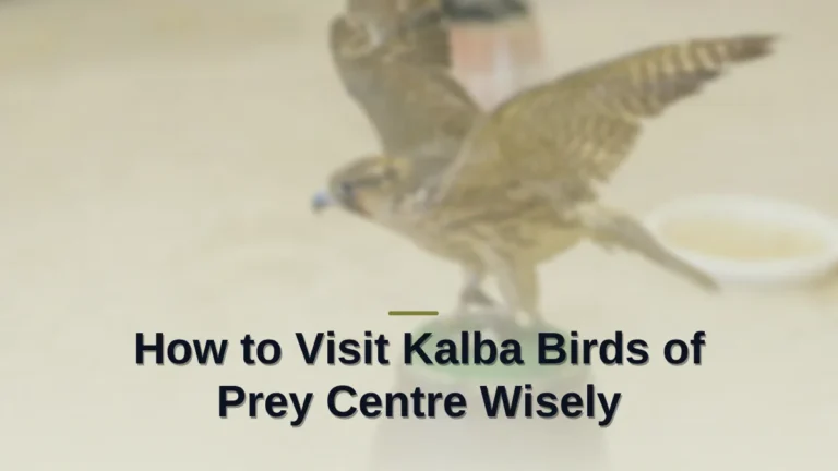 Kalba birds of prey centre