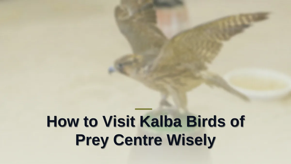 Kalba birds of prey centre