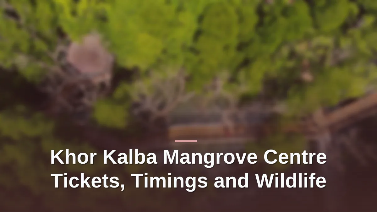 Khor kalba mangrove centre