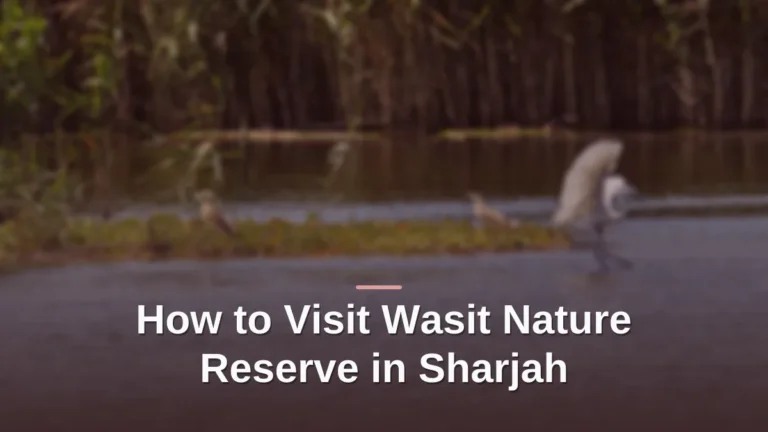 Wasit nature reserve