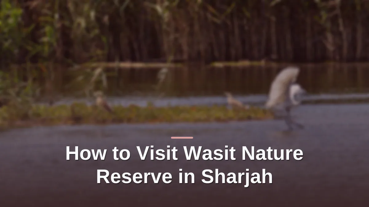 Wasit nature reserve